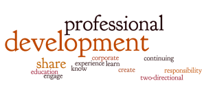 professional-development-baseball